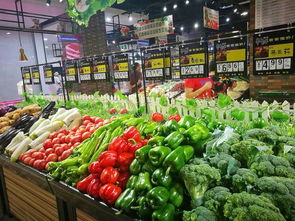 汉中市颁发首张申请人承诺制食品经营许可证，助力高效食品经营监管