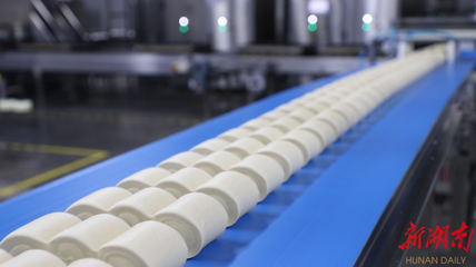 盐津铺子品牌价值突破34.86亿元，引领休闲食品行业高质量发展