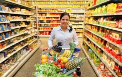 食品经营许可证遗失登报挂失指南