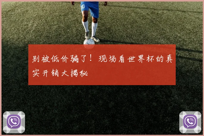 别被低价骗了！现场看世界杯的真实开销大揭秘