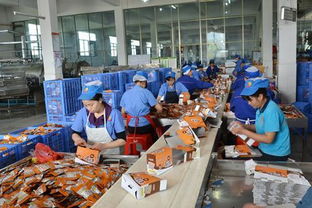 食品生产经营的法定出厂与销售要求