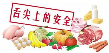 强化责任监管，守护舌尖安全——某省专门出台督促食品经营者落实主体责任意见